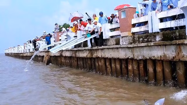 Thả cá phóng sinh nhằm tái tạo nguồn lợi thủy sản tại xã Đất Mũi.