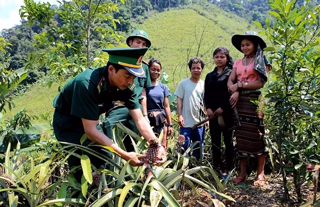 Cán bộ, chiến sĩ Đồn Biên phòng Nhâm (huyện A Lưới, tỉnh Thừa Thiên - Huế) hướng dẫn dân bản Sê Sáp (Lào) trồng dứa năng suất cao.
