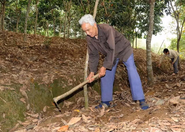 Việc triển khai chính sách giao đất, giao rừng cho đồng bào dân tộc thiểu số tại nhiều địa phương chưa tốt nên chưa phát huy hiệu quả.