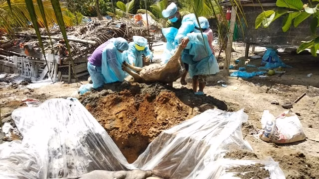 Lực lượng chức năng tiến hành công tác phòng, chống dịch ở Vĩnh Long. 