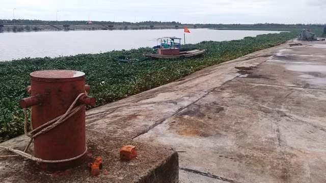 Âu tàu Thái Thượng (huyện Thái Thụy, tỉnh Thái Bình) quay hướng Bắc nên ngư dân sợ đắm tàu khi vào tránh trú bão.