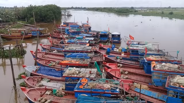 Tàu, thuyền của ngư dân thị trấn Diêm Điền, huyện Thái Thụy, tỉnh Thái Bình vào nơi trú ẩn an toàn.