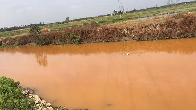Kênh Cẩm Văn đang trong tình trạng ô nhiễm nặng nề.