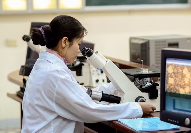 Cán bộ làm việc tại Viện Khoa học và Kỹ thuật vật liệu (Trường đại học Bách khoa Hà Nội).
