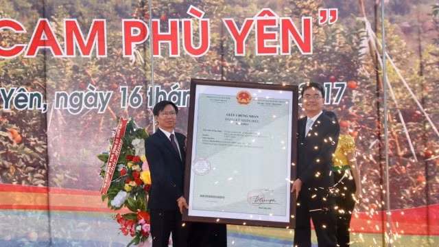 Lãnh đạo Cục sở hữu trí tuệ (Bộ khoa học và Công nghệ) trao quyết định nhãn hiệu cam Phù Yên.