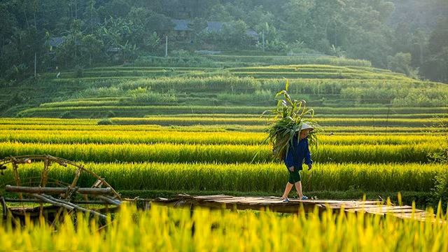 Một thoáng Pù Luông 