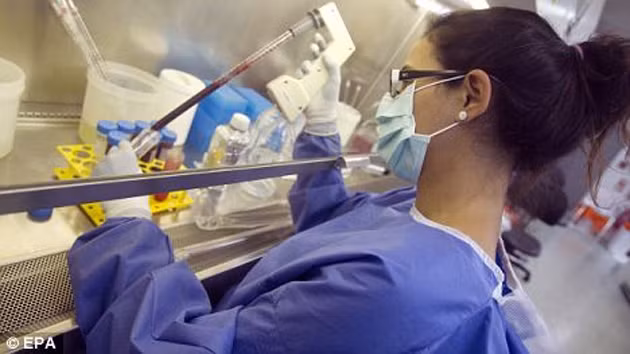 Một nhà nghiên cứu tại Barcelona (Tây Ban Nha) đang làm việc trong một dự án nghiên cứu vắc-xin phòng HIV. (Ảnh: EPA)