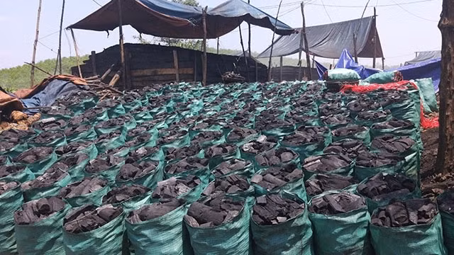 Những lò đốt than củi thủ công hoạt động trái phép đã nhiều năm, gây ô nhiễm môi trường và tiếp tay cho hành vi phá rừng. 