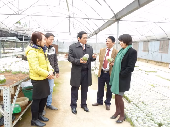 Đại diện lãnh đạo Đại học Thái Nguyên khảo sát, nghiên cứu tại Trung tâm Nghiên cứu và Phát triển lâm nghiệp miền núi, Trường đại học Nông Lâm Thái Nguyên.