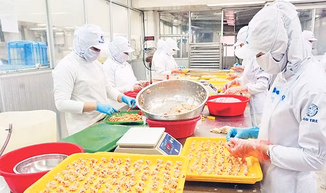 Công nhân Công ty cổ phần thực phẩm CJ Cầu Tre (quận Tân Phú) chế biến thực phẩm.