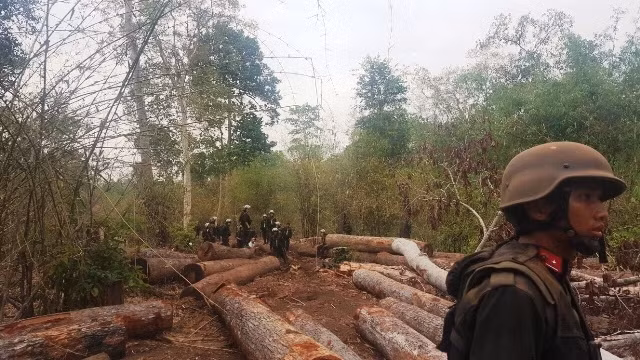 Một lượng lớn gỗ là tang vật vụ án bị các cơ quan chức năng bắt giữ khi chưa kịp tẩu tán tại Vườn quốc gia Yok Đôn.