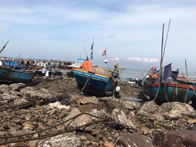 Bãi bùn - bãi đá ô nhiễm tại TP Vũng Tàu.