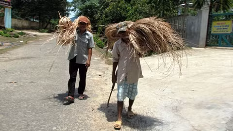 Không có đất sản xuất, người dân phải vào rừng lấy mây chặt đót kiếm sống.