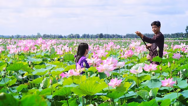 Tuần lễ Văn hóa Du lịch Đồng Tháp 