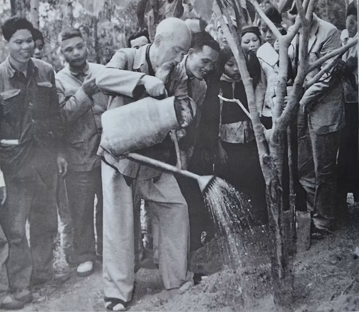Chủ tịch Hồ Chí Minh trồng cây ở xã Vật Lại, huyện Ba Vì (2-1969). Ảnh tư liệu