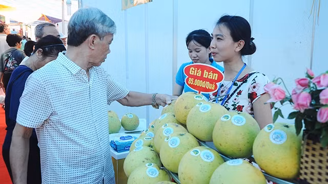 Cần tuyên truyền để người tiêu dùng nhận diện được logo cửa hàng trái cây an toàn như một thương hiệu. Ảnh: H.NGUYỄN