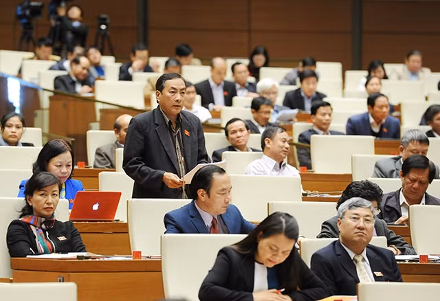 Đại biểu QH tỉnh Đồng Tháp phát biểu ý kiến thảo luận tại hội trường. Ảnh: ĐỨC ANH