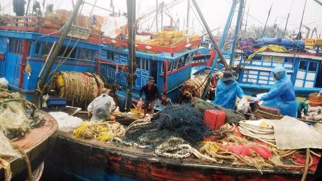 Hàng trăm tàu thuyền vào cảng cá Tịnh Kỳ chờ nạp phí tổn để ra khơi.