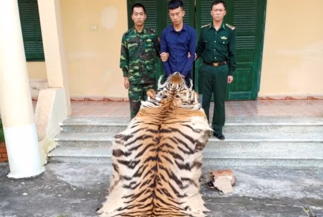 Đối tượng Hiệp cùng tang vật tại Đồn Biên phòng Hải Hòa (TP Móng Cái, tỉnh Quảng Ninh).