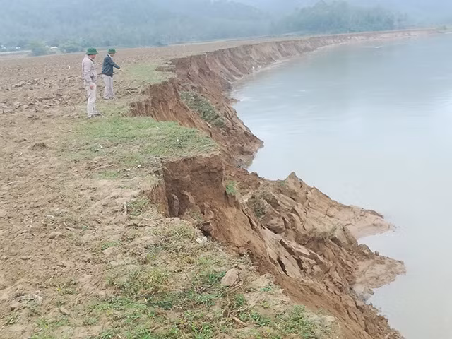 Bờ sông Lam đoạn qua xã Thanh Khai (huyện Thanh Chương) bị sạt lở nghiêm trọng.
