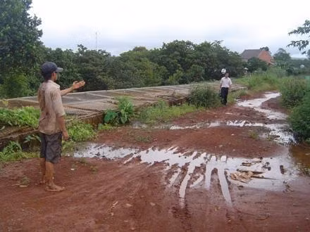 Nước từ kênh dẫn nước Nhà máy thuỷ điện Quảng Tín tràn ngập đường giao thông và cây trồng của người dân.
