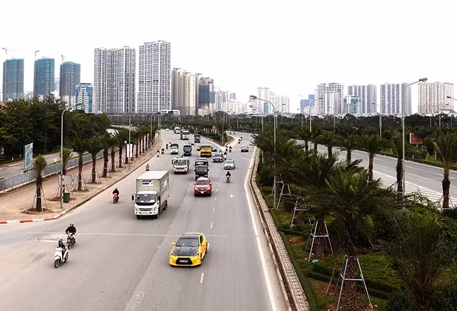 Hàng cây xanh mới được trồng trên Đại lộ Thăng Long. Ảnh: THỦY NGUYÊN