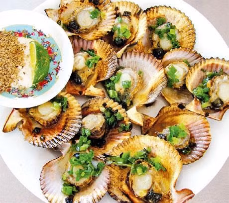 Sò tươi: bổ không sợ… béo!