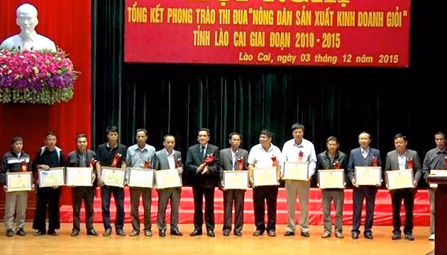 Trao tặng Bằng khen của UBND tỉnh cho các hộ nông dân sản xuất - kinh doanh giỏi ở Lào Cai.