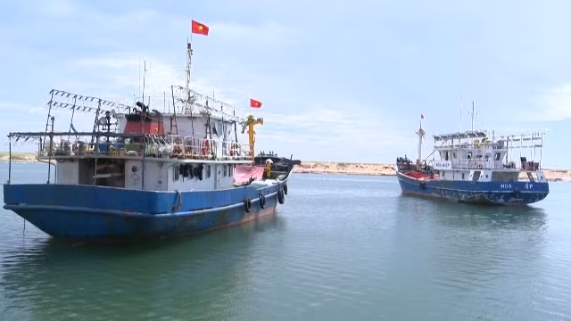 Với đội tàu cá hiện đại, công suất lớn, ngư dân Phú Yên vững tin vươn khơi bám biển.