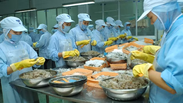 Cơ hội sẽ đến với các DN xuất khẩu thủy sản khi CPTPP có hiệu lực.