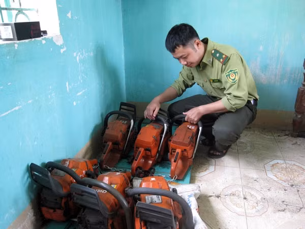 Kiểm lâm Khu bảo tồn thiên nhiên Kim Hỷ cất giữ, quản lý cưa máy sử dụng đúng mục đích.