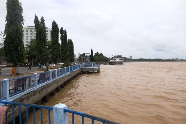 Một gốc bờ kè TP Vĩnh Long góp phần nâng cao vẻ mỹ quan cho đô thị.
