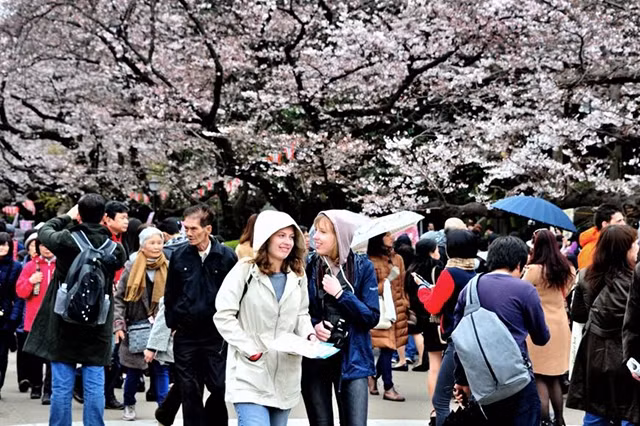 Chính sách kinh tế Abenomics đã thúc đẩy ngành du lịch Nhật Bản phát triển.
