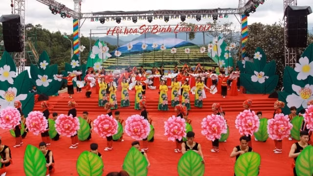 Khai mạc Hội hoa Sở năm 2017