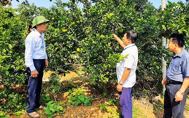 Tự nguyện viết đơn xin nghỉ trước tuổi nhưng đồng chí Lê Hữu Thống, Phó Bí thư Đảng ủy xã Thạch Tiến, huyện Thạch Hà, Hà Tĩnh (ngoài cùng bên trái) vẫn gắn bó với công việc chung.