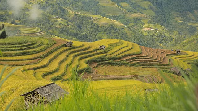 Ảnh: NAM NGUYỄN