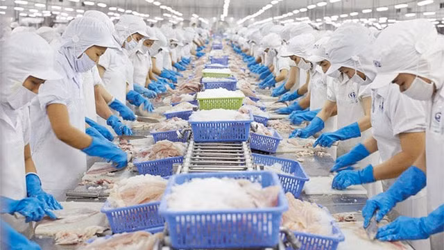 Xuất khẩu thủy sản duy trì tăng trưởng dù gặp phải nhiều rào cản.