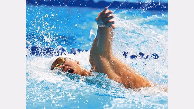 Chuyện cổ tích của “rái cá” sông Gianh
