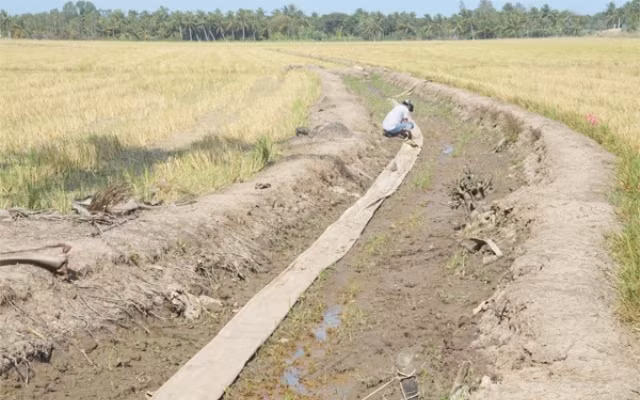 Bộ Nông nghiệp và Phát triển nông thôn đề nghị kinh phí hỗ trợ các chi phí khắc phục hạn hán, xâm nhập mặn năm 2020 là 515,3 tỷ đồng.