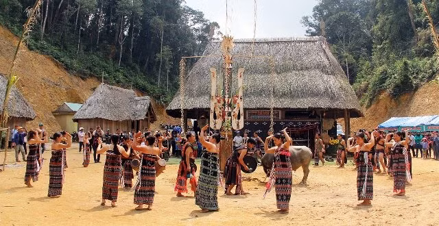 Vũ điệu "Tung tung da dá" tại Lễ hội tạ ơn rừng.