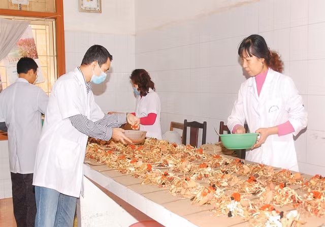 Cân chia thuốc theo thang phục vụ người bệnh tại Bệnh viện Y học cổ truyền Hà Đông (Hà Nội). Ảnh: NGUYỄN VÂN