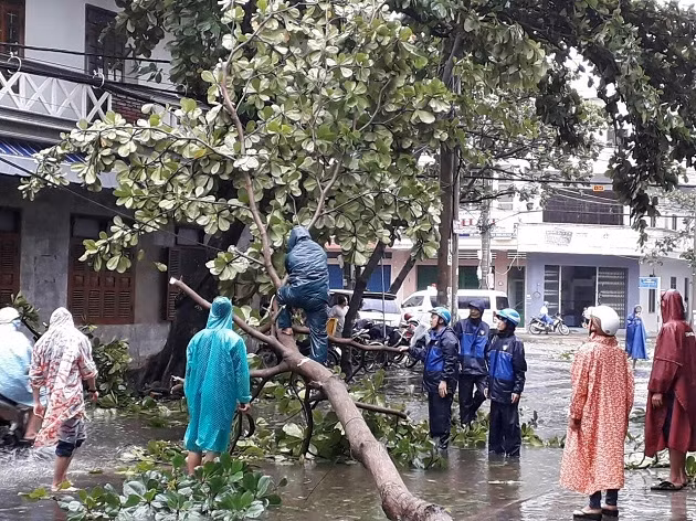 Lực lượng chức năng thu dọn cây đổ tại Phú Yên.