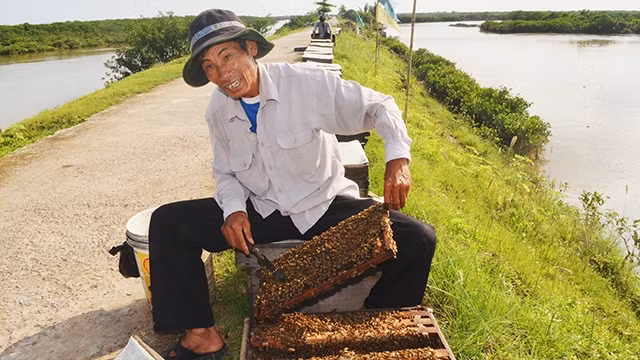 Ông Giang, một thợ nuôi ong ở Vườn quốc gia Xuân Thủy.