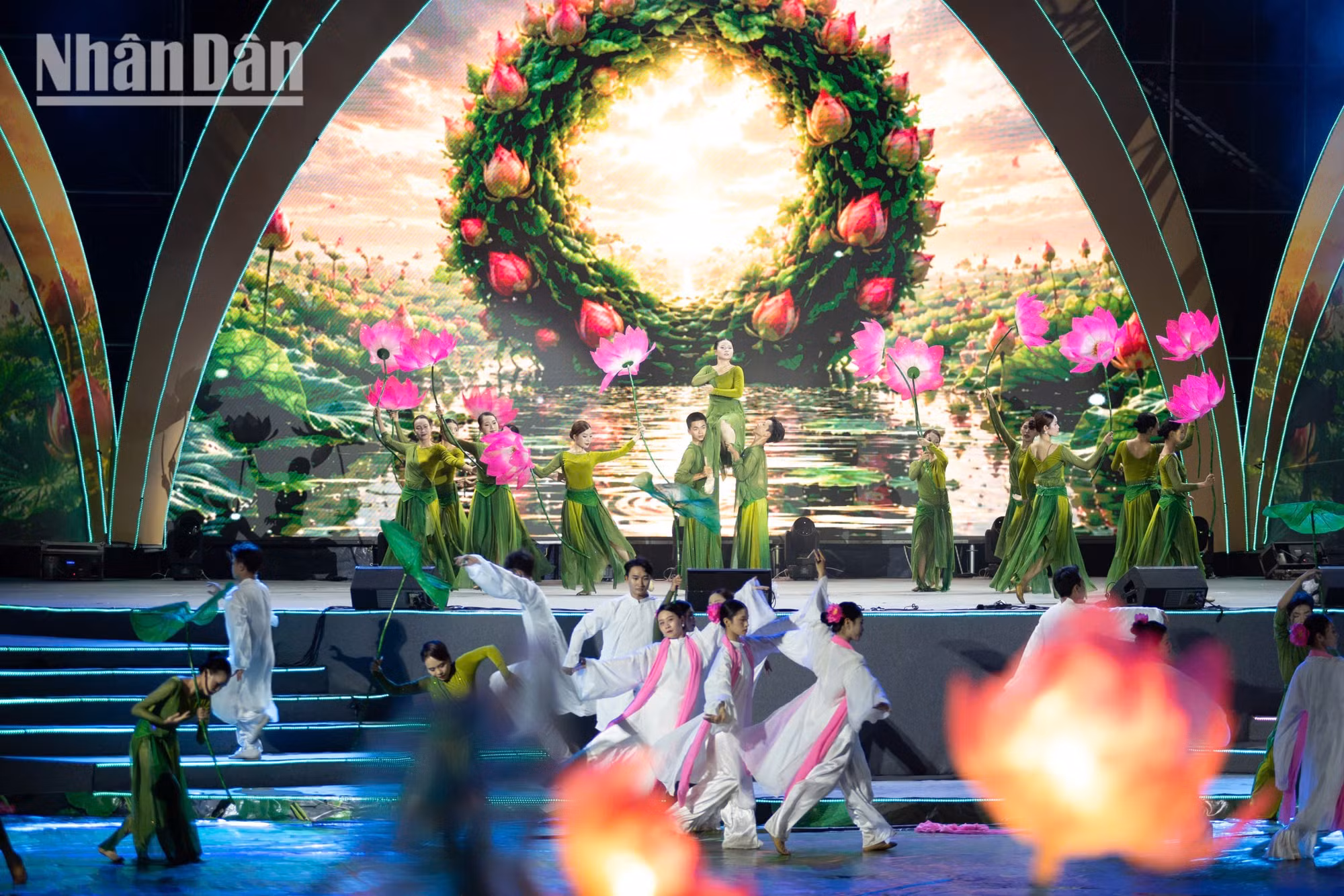 sen-ha-noi-2026-minh-duy-20.jpg