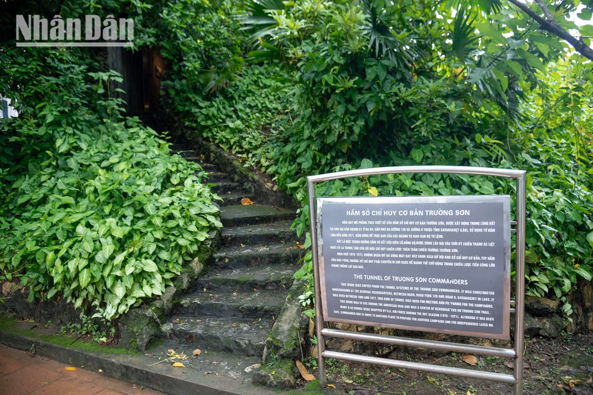 bao-tang-duong-ho-chi-minh-minh-duy-34.jpg
