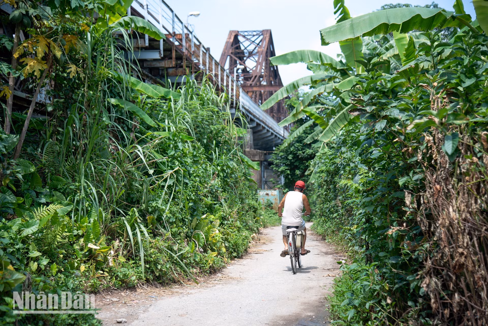 cau-long-bien-minh-duy-9.jpg