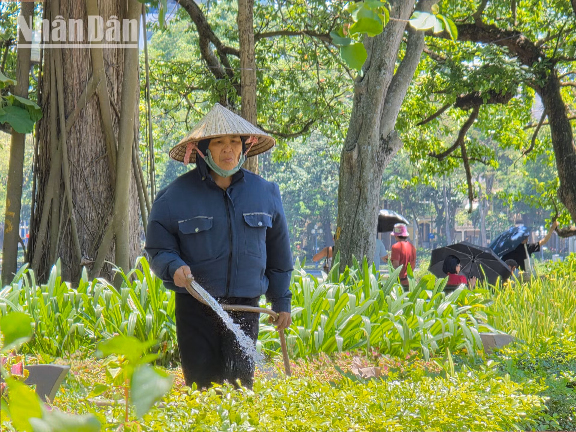nang-nong-t5-2026-minh-duy-4.jpg
