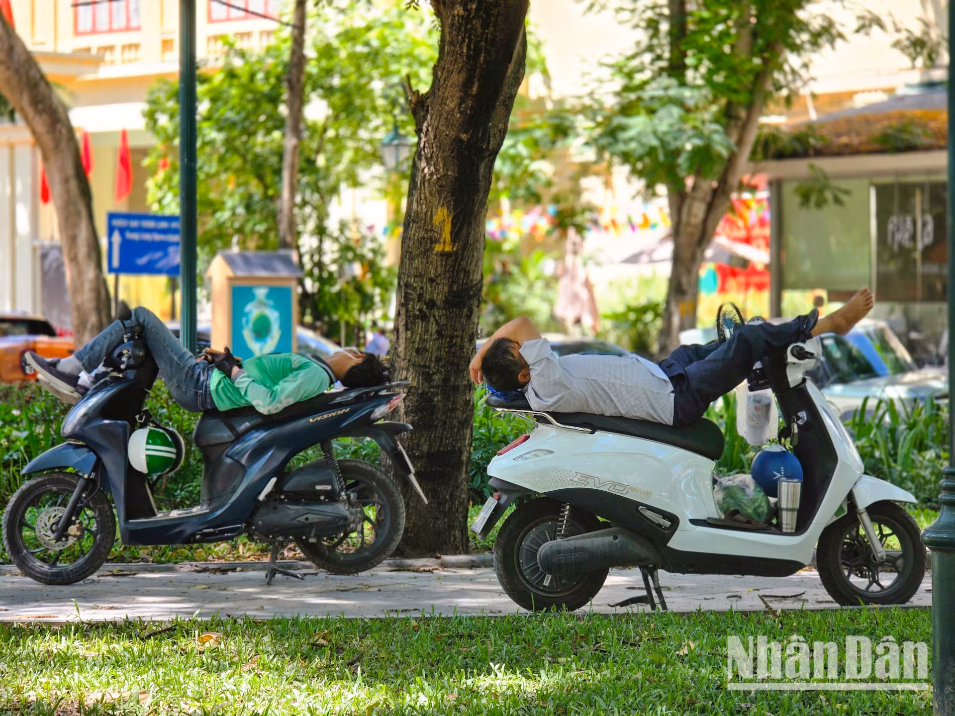 nang-nong-t5-2026-minh-duy-12.jpg