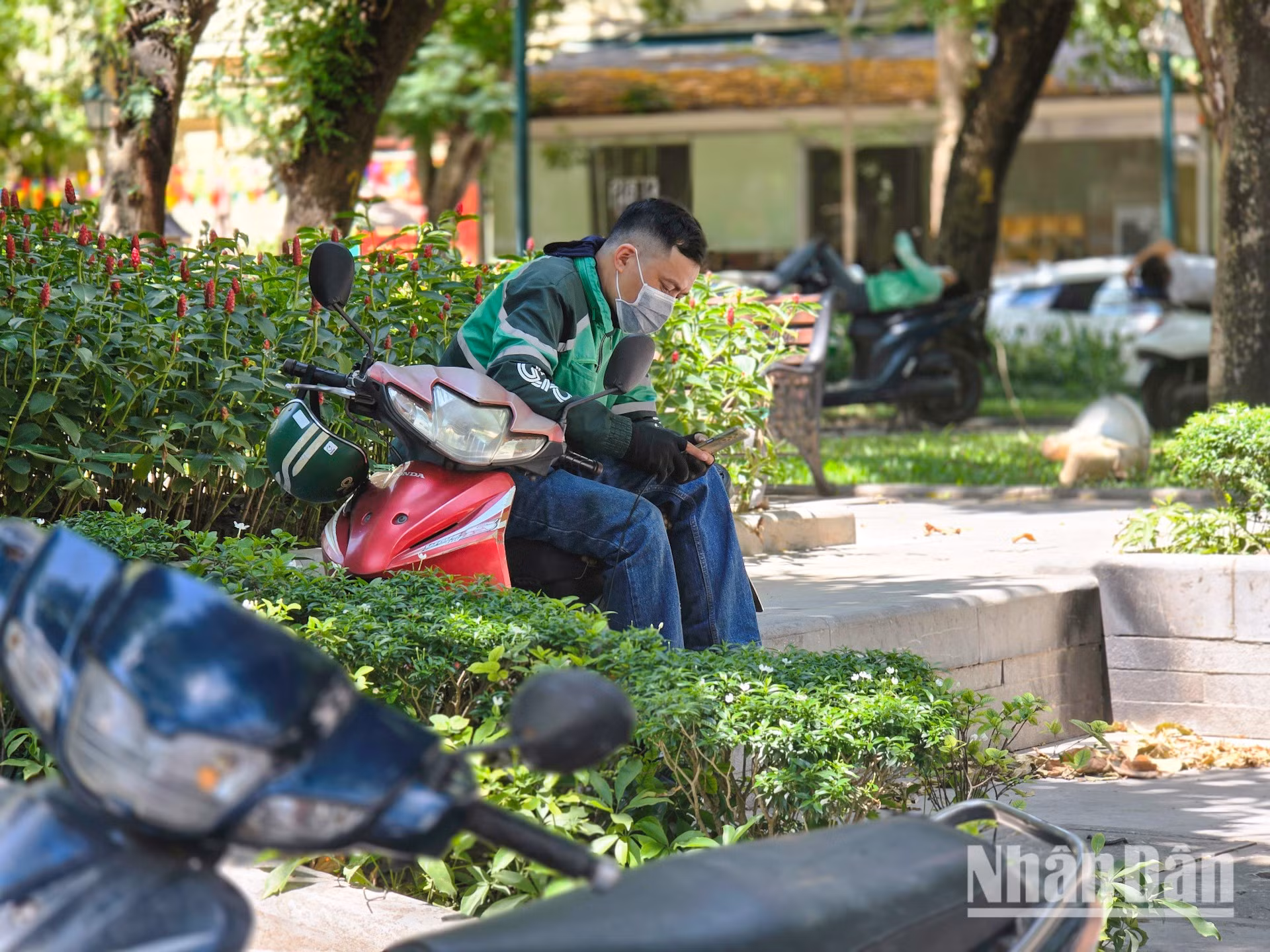 nang-nong-t5-2026-minh-duy-11.jpg