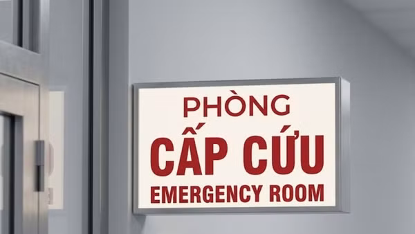 (Ảnh minh họa được thiết kế bởi AI)